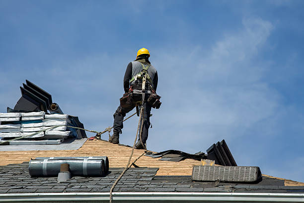 Professional Roof Replacement technician working in Carsonville, MI